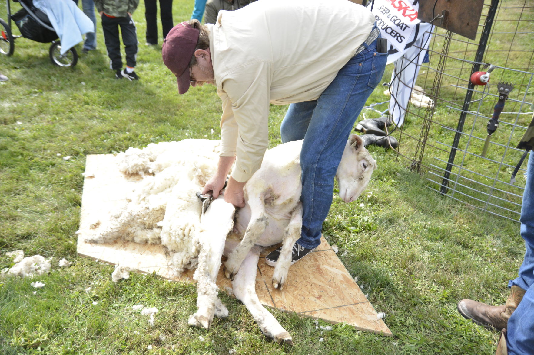 10-6-19 Prairie Loft HarvestFest (66).JPG